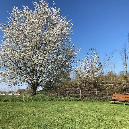 Bij Tante Hanneke's Tiny House Barn Met Hottub Optie Holiday home Maasbommel