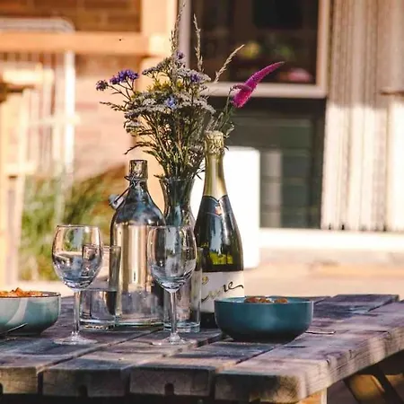 Bij Tante Hanneke's Tiny House Barn Met Hottub Optie Holiday home