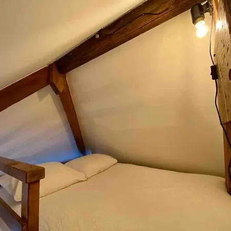 Holiday home Bij Tante Hanneke's Tiny House Barn Met Hottub Optie