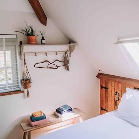 Holiday home Bij Tante Hanneke's Tiny House Barn Met Hottub Optie