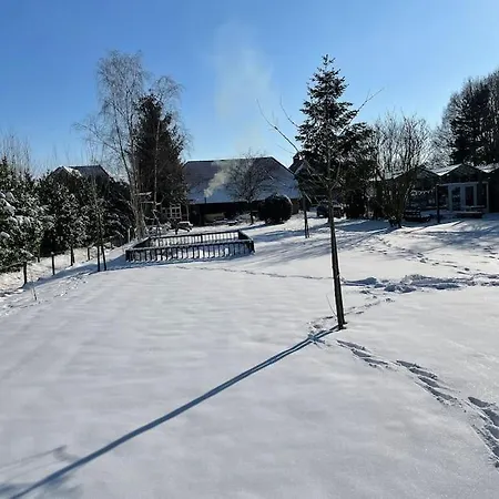Holiday home Bij Tante Hanneke's Tiny House Barn Met Hottub Optie