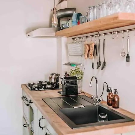 Bij Tante Hanneke's Tiny House Barn Met Hottub Optie Holiday home