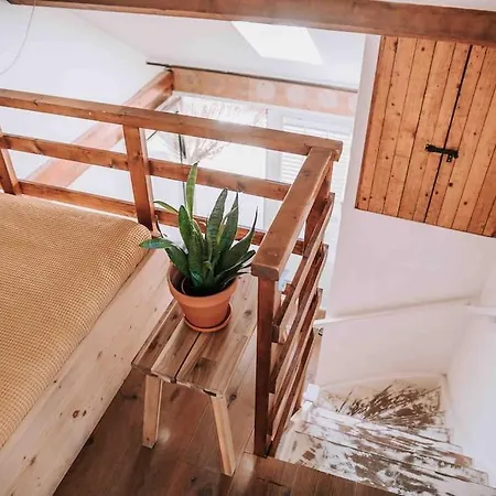 Holiday home Bij Tante Hanneke's Tiny House Barn Met Hottub Optie
