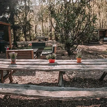 Bij Tante Hanneke's Tiny House Barn Met Hottub Optie *
