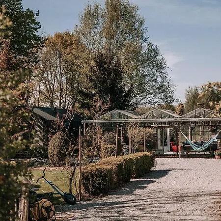Bij Tante Hanneke's Tiny House Barn Met Hottub Optie בית נופש
